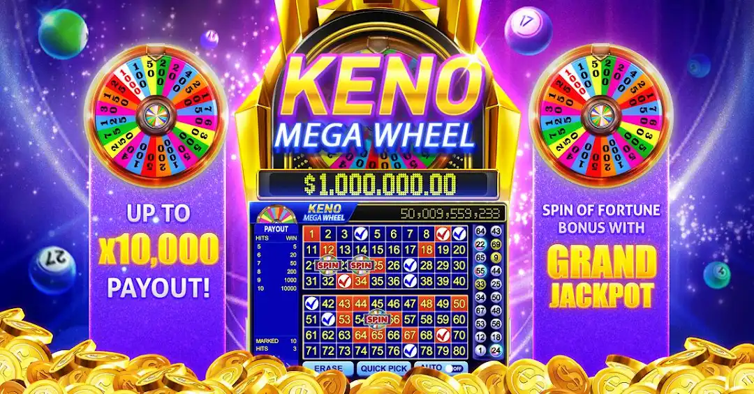 1win bet qpr x cassino jogos grátis